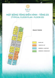 mat-bang-can-ho-maia-resort-ho-tram