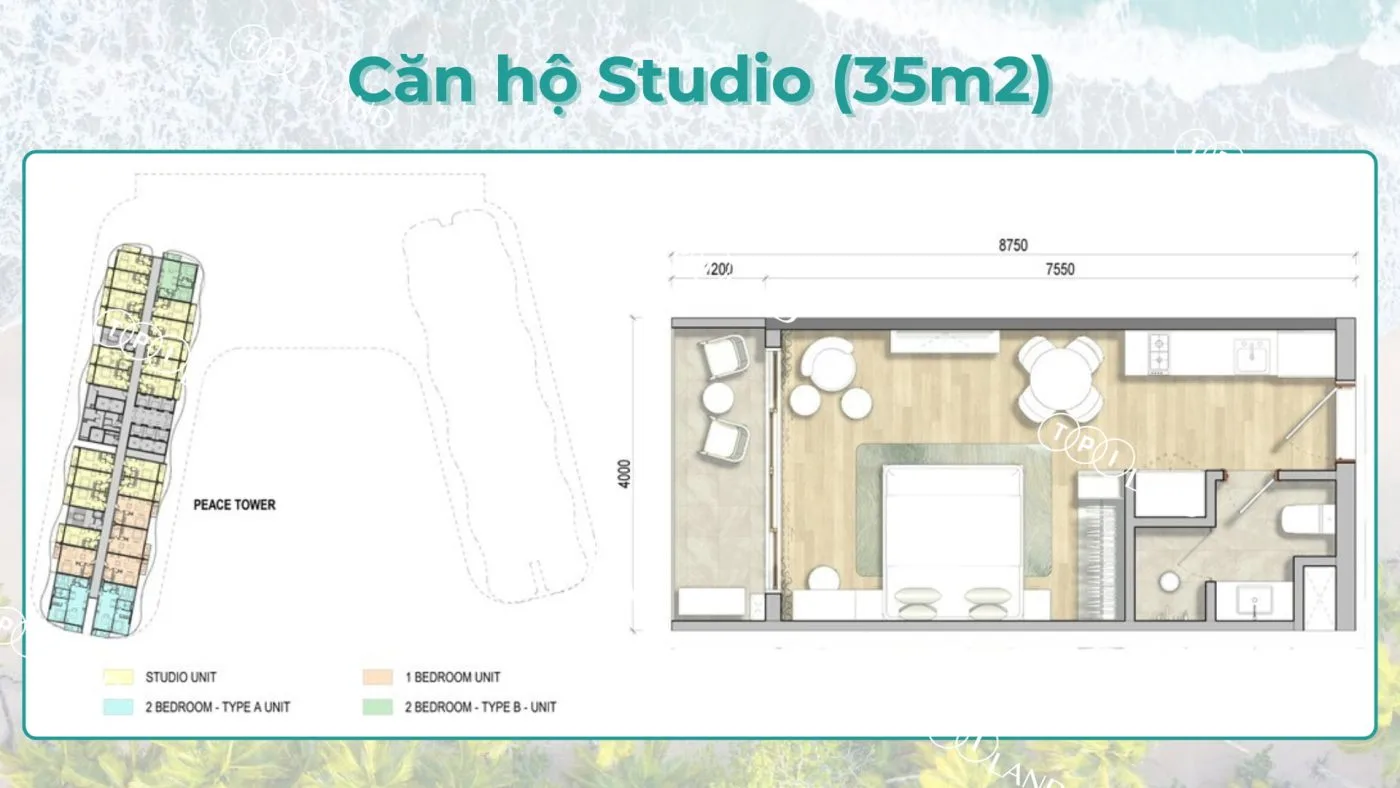 can ho studio maia resort ho tram